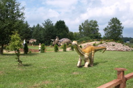 Wasilków Atrakcja Muzeum Jurajski Park Dinozaurów „Muzeum Dziejów Ziemi”
